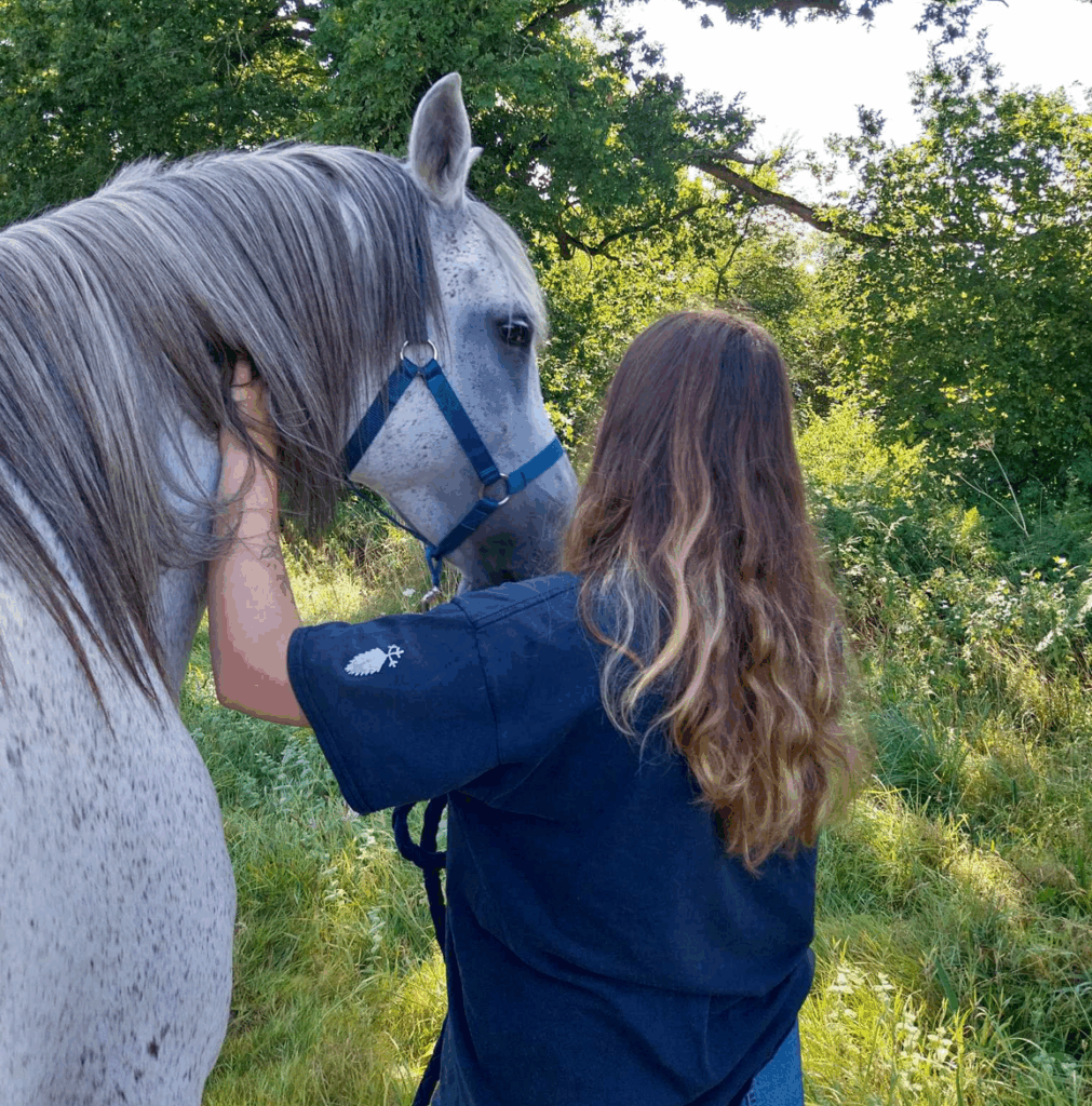 Equicoaching